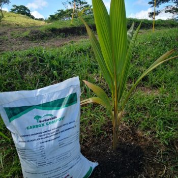 export trading colombia (10)