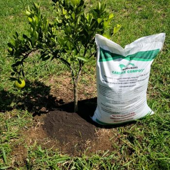 export trading colombia (12)