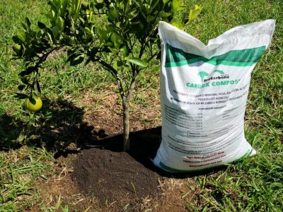 export trading colombia (12) export trading colombia (12)