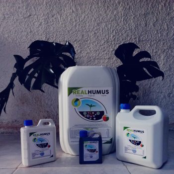 export trading colombia (2)