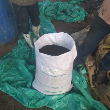 export trading colombia (6)