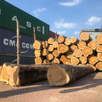 madera-export trading sas (1)